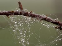 2013.10.31_110633_Auerberg und Königsschlösser Herbst_gestackt.jpg